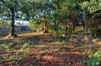Terreno comercial para alugar no Ribeirânia, Ribeirão Preto 
