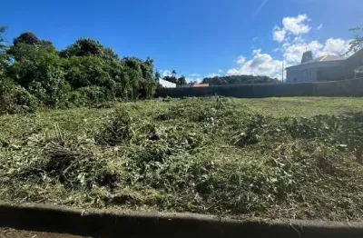 Terreno à venda na rua hildegard nass, anita garibaldi, joinville por r$ 550.000