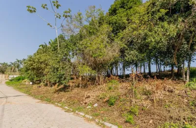 Terreno à venda na servidão gereon johannes kruger, 3, santa catarina, joinville por r$ 750.000