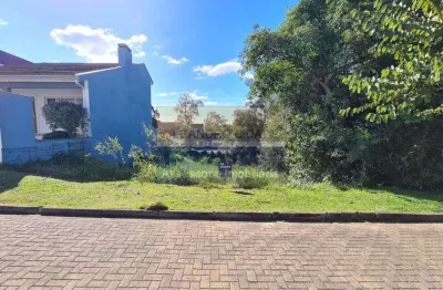 Terreno / lote / condomínio à venda no bairro condomínio buena vista com 336 m² de área privativa