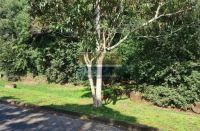 Terreno / lote / condomínio à venda no bairro condomínio buena vista com 390 m² de área privativa