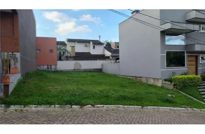 Terreno / lote / condomínio à venda no bairro agronomia com 345 m² de área privativa