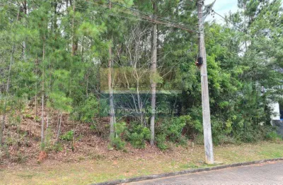 Terreno / lote / condomínio à venda no bairro condomínio buena vista com 330 m² de área privativa