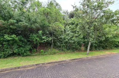 Terreno / lote / condomínio à venda no bairro condomínio buena vista com 330 m² de área privativa