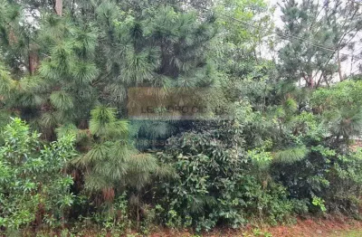 Terreno / lote / condomínio à venda no bairro condomínio buena vista com 362 m² de área privativa