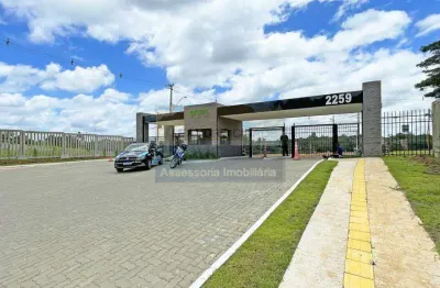 Terreno / lote / condomínio à venda no bairro vila augusta com 203 m² de área privativa