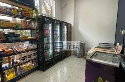 Apartamento com 3 dormitórios à venda, 133 m² por r$ 1.300.000,00 - campestre - santo andré/sp