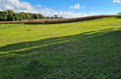 Sítio no campo alegre com 0 quartos para venda, 0 m²