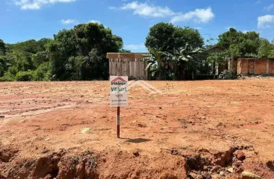 Terreno à venda na Rua 1009 Piraboca, 53, Itapema do Norte, Itapoá