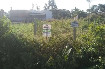 Terreno para alugar, 384 m² por r$ 650,00/mês - praia do imperador - itapoá/sc
