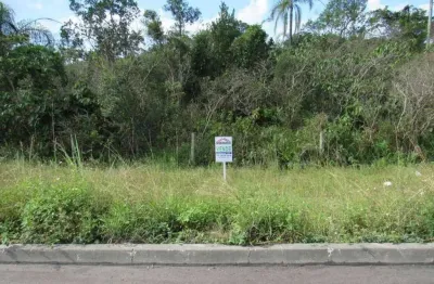 Terreno à venda, 521 m² por r$ 170.000,00 - santa terezinha - itapoá/sc