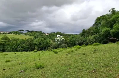 Área rural rondinha - fazendinha | 4,325 hectares | campo largo - paraná
