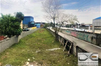 Terreno para alugar, 1500 m² por r$ 4.500,00/mês - parque novo mundo - são paulo/sp