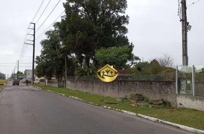 Terreno à venda, 1680 m² por r$ 2.000.000,00 - tabuleiro - matinhos/pr