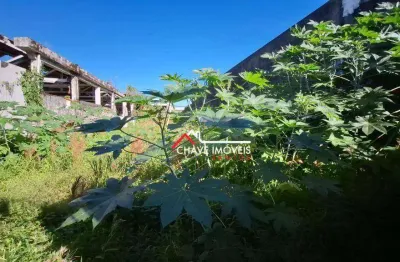 Terreno comercial à venda na Rua Dona Luísa Macuco, Vila Mathias, Santos