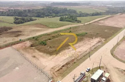 Terreno à venda, 2100 m² por r$ 750.000,00 - eucaliptos - fazenda rio grande/pr