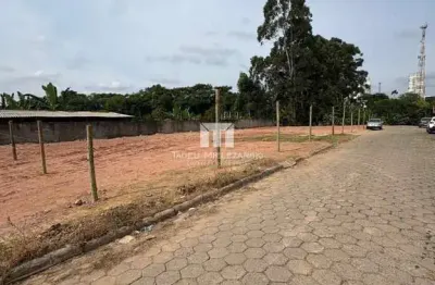 Terreno à venda no Centro, São João Batista 