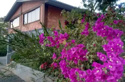 Chácara em campo largo, com casa de 3 dormitórios no guabiroba