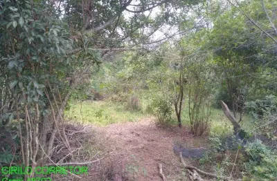 Chácara / sítio à venda na estrada geral macega/maratá, s/n, macega, maratá, 50600 m2 por r$ 230.000
