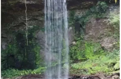 Fazenda com 2 salas à venda na estrada geral arroio do leite, s/n, zona rural, pouso novo, 140 m2 por r$ 1.950.000