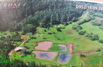 Chácara / sítio à venda na estrada geral serra velha, s/n, serra velha, montenegro, 20000 m2 por r$ 200.000