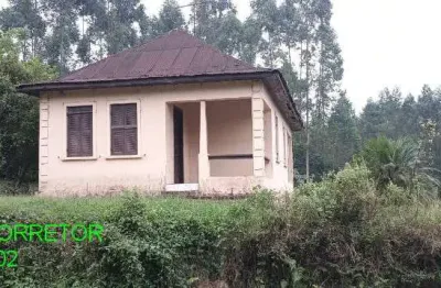 Chácara / sítio com 3 quartos à venda na estrada pinheiro machado, s/n, linha pinheiro machado, brochier, 140 m2 por r$ 1.250.000