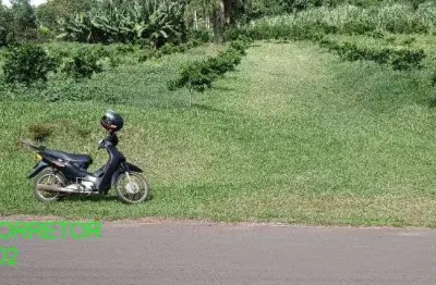 Chácara / sítio à venda na rodovia transitrus, s/n, linha pinheiro machado, brochier por r$ 270.000