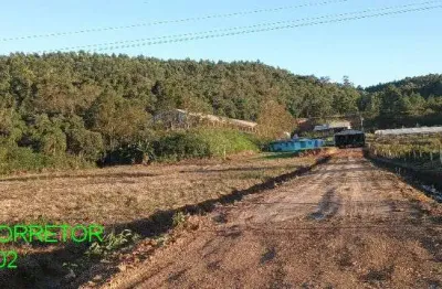 Chácara / sítio com 5 quartos à venda na estrada vapor velho, s/n, costa da serra, montenegro, 2380 m2 por r$ 1.280.000