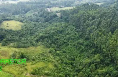 Chácara / sítio com 4 quartos à venda na estrada encruzilhada do maratá, s/n, esperança, maratá, 153 m2 por r$ 570.000