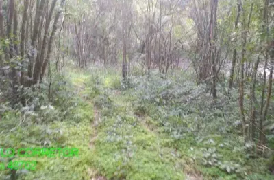 Chácara / sítio à venda na estrada são pedro do maratá, s/n, esperança, maratá por r$ 198.000