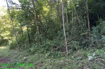 Chácara / sítio à venda na estrada marata/brochier, s/n, zona rural, maratá por r$ 205.000