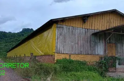 Chácara / sítio à venda na rodovia transitrus, 1001, linha pinheiro machado, brochier, 900 m2 por r$ 750.000