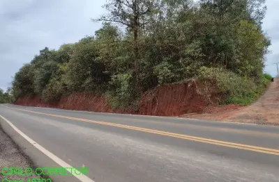 Chácara / sítio à venda na estrada geral passo da amora, 500, passo da amora, montenegro por r$ 300.000