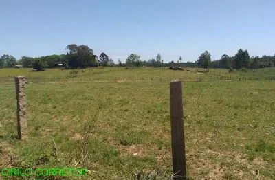 Chácara / sítio com 5 quartos à venda na estrada geral passo fundo, s/n, passo fundo, triunfo, 479 m2 por r$ 1.900.000