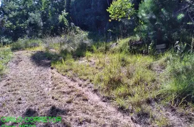 Chácara / sítio à venda na ers287, s/n, passo da serra, montenegro por r$ 440.000