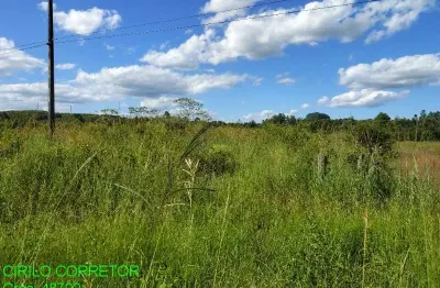 Chácara / sítio à venda na Estrada ERS124, s/n, Zona Rural, Montenegro por R$ 750.000