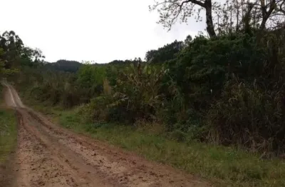 Chácara / sítio à venda na Estrada L. Pinheiro Machado/nova Holanda, Centro, Brochier