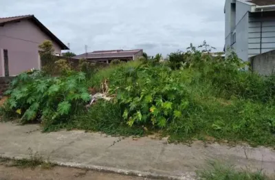 Terreno à venda na Rua Rev. Ernesto J. Bernhoeeft, Olaria, Montenegro