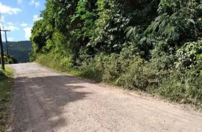 Chácara / sítio à venda na Estrada Geral Costa Da Serra/pinheiros, Costa da Serra, Montenegro