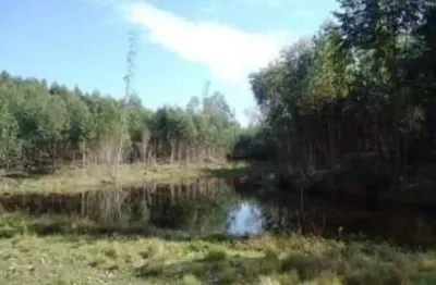 Chácara / sítio à venda na Estrada Fortaleza, S/N, Centro, Montenegro