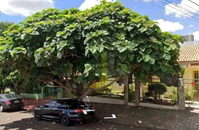 Terreno à venda na Rua Visconde do Rio Branco, 3118, Centro, Cascavel