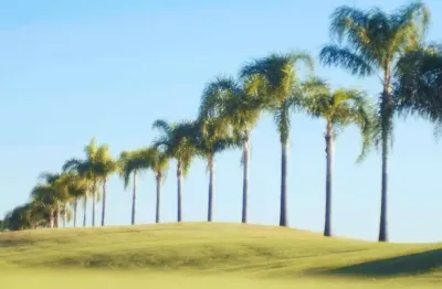 O maior e mais completo condomínio da região, colinas golf residence