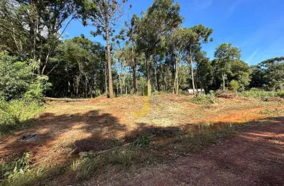 Chácara / sítio com 1 quarto à venda na Núcleo Colonia Barreiro, 17, Colonia Barreiro, Cascavel