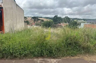 Terreno à venda na Rua Francisco Maculan, 1462, Floresta, Cascavel