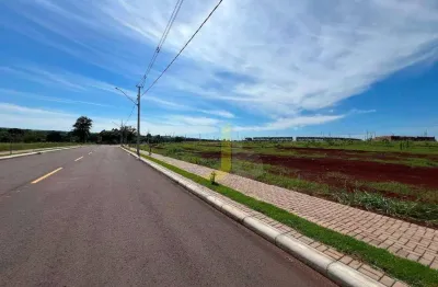 Terreno à venda na Rua Frida Haesbaert Lopes, 223, Cancelli, Cascavel