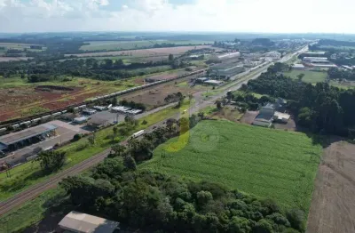 Terreno à venda na Rodovia Br 277 Do 572.0 Ao 585.5km, 573, Cascavel Velho, Cascavel