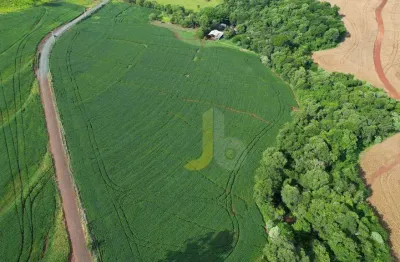 Chácara / sítio com 3 quartos à venda na Estrada Gonçalves Dias, Zona Rural, Lindoeste