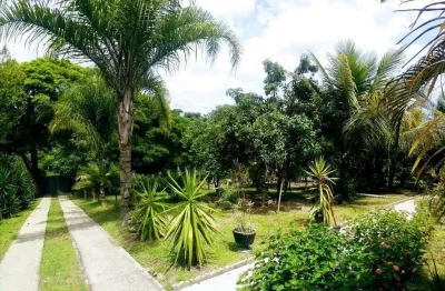 Linda chácara com 3 dormitórios à venda, 1450 m² - chácaras cruzeiro do sul - santa bárbara d'oeste/sp