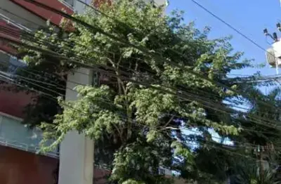 Apartamento com 3 quartos para alugar na Vila Augusta, Guarulhos 