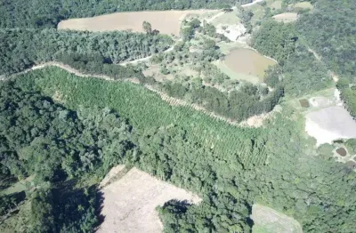 Chácara à venda no bairro guabiroba - campo largo/pr